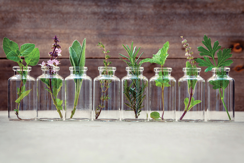 Essential Oils to Reclaim Your Healthspan Essential Oils to Reclaim Your Healthspan