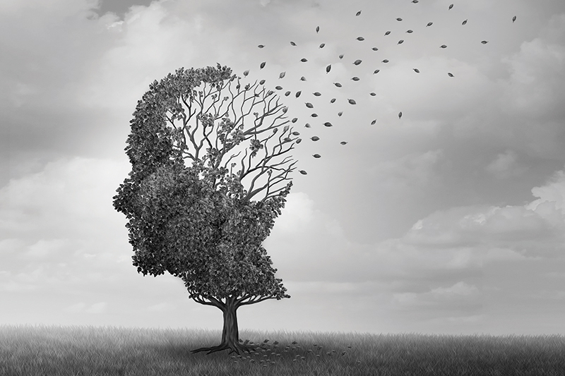 Are You Suffering from More Memory Loss, Anxiety, Depression, or Mental Fog as You Age? Are You Suffering from More Memory Loss, Anxiety, Depression, or Mental Fog as You Age?