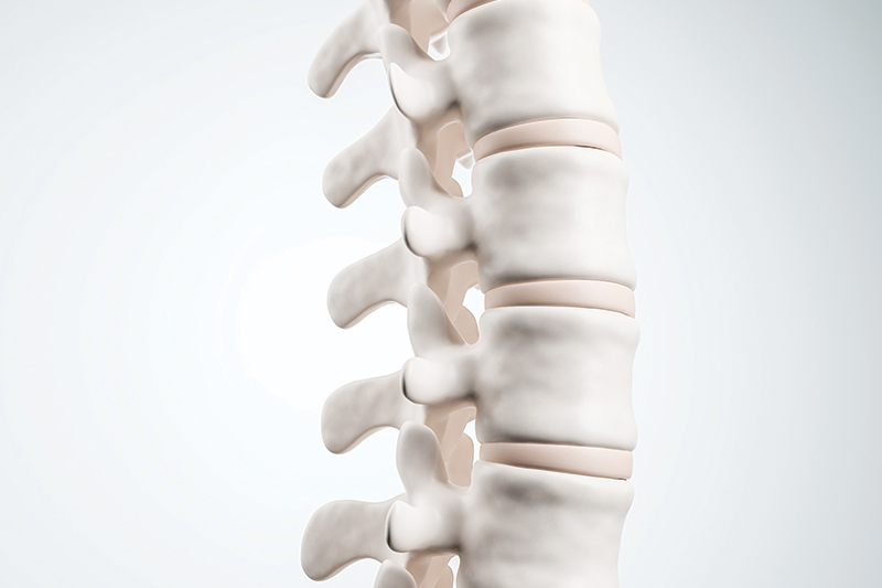 Herniated Discs DO NOT Cause Back Pain! Herniated Discs DO NOT Cause Back Pain!
